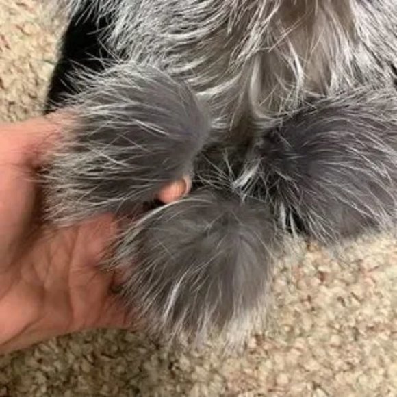 Real Fur - Rabbit & Fox Fur Hat - Picture 3 of 4